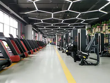 Chest Press
